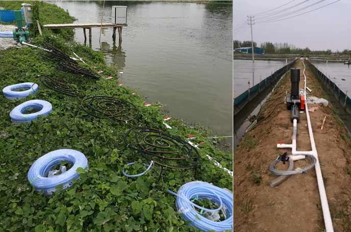 水產養殖羅茨香蕉在线视频视频 水產養殖羅茨香蕉在线视频视频