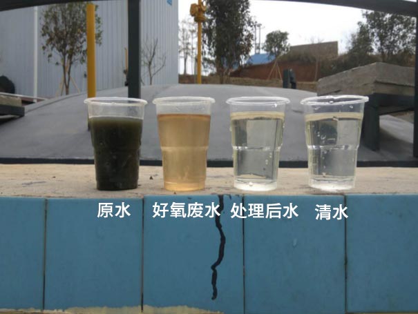 汙水曝氣羅茨鼓香蕉在线视频视频應用案例 汙水曝氣羅茨鼓香蕉在线视频视频應用案例